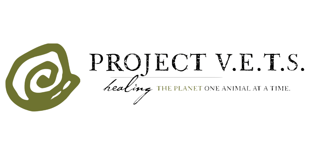 Project VETS