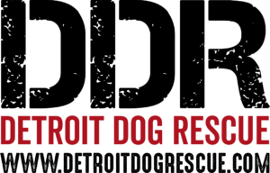 Detroit Dog Rescue